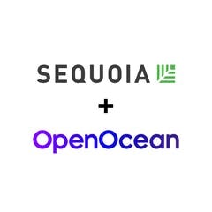 logotypes of Sequoia Capital and OpenOcean